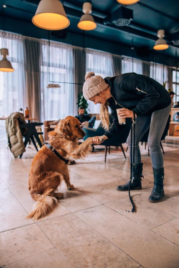 Selina Berlin Mitte Hotel Eksteriør billede